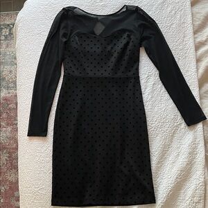 The Limited Black Long Sleeve Dress